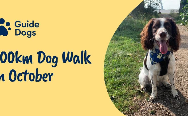 100km Dog Walk in October